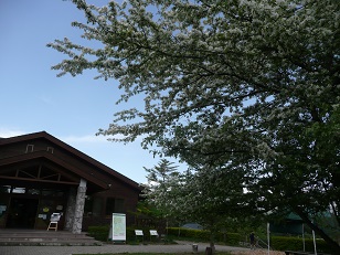 b0061798_10173611.jpg
