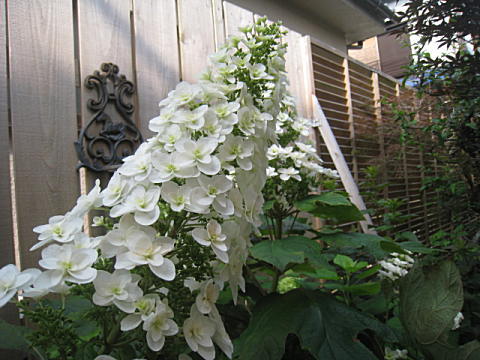 d0046702_1037180.jpg