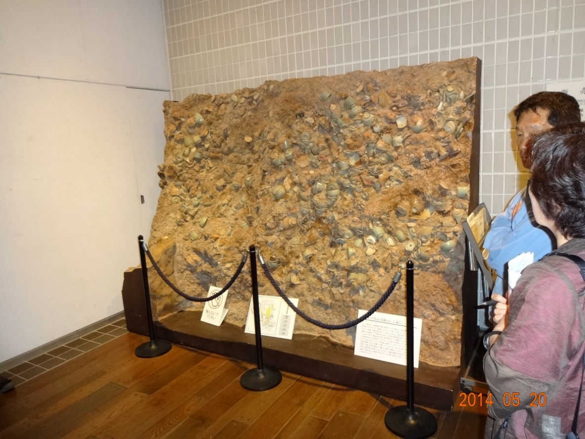 b0273309_10293734.jpg