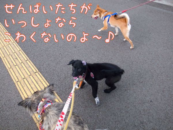 f0329311_22201289.jpg