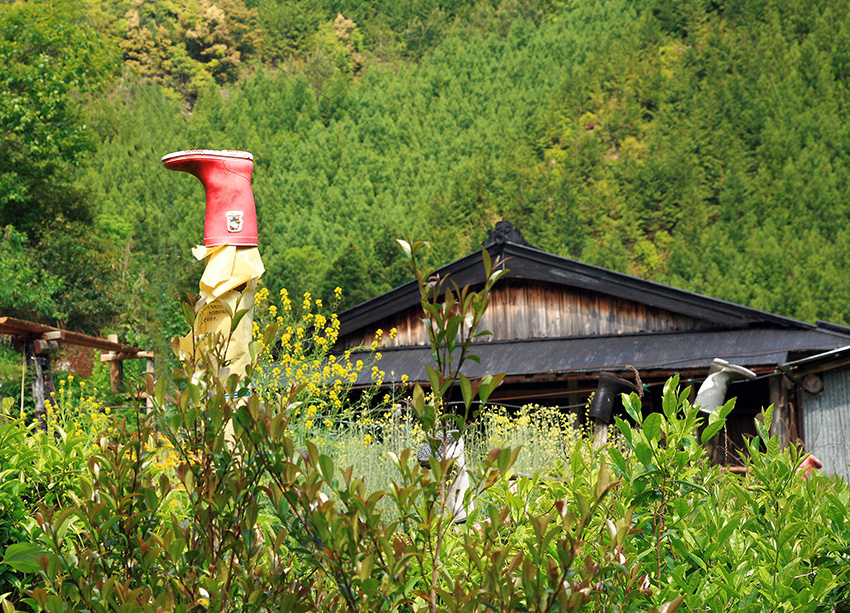 d0147530_11243128.jpg