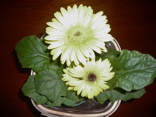 a0206332_9113318.jpg