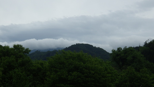 c0300035_9233254.jpg