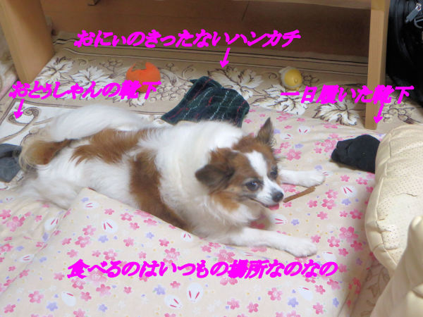 a0149240_22193821.jpg