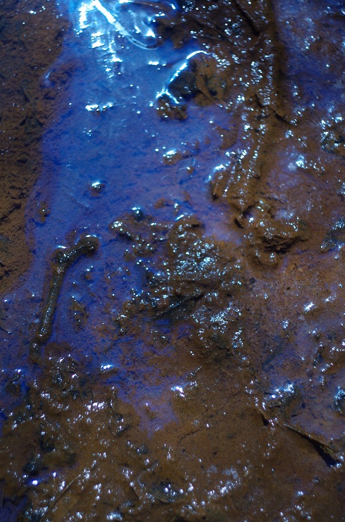 d0165741_14383428.jpg