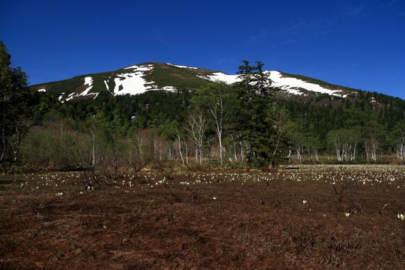 e0007544_23543546.jpg