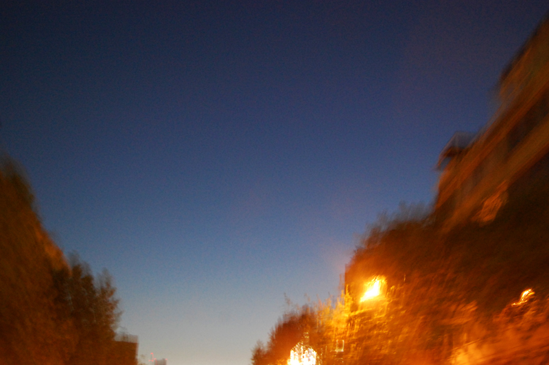 d0018646_0393927.jpg