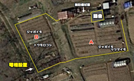 c0063348_21444331.jpg
