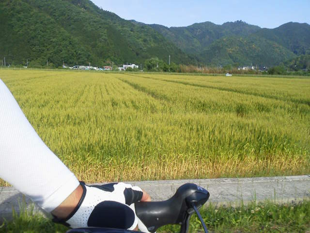 c0214359_23341377.jpg