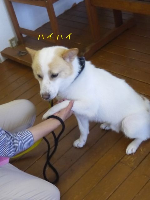 f0177261_9163338.jpg