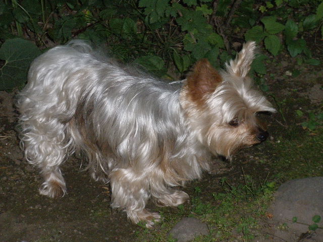 d0150967_22481759.jpg