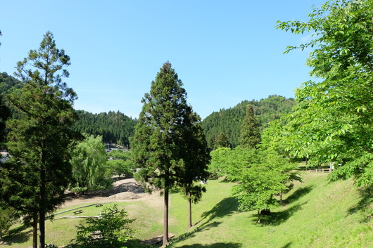 f0029271_23412893.jpg