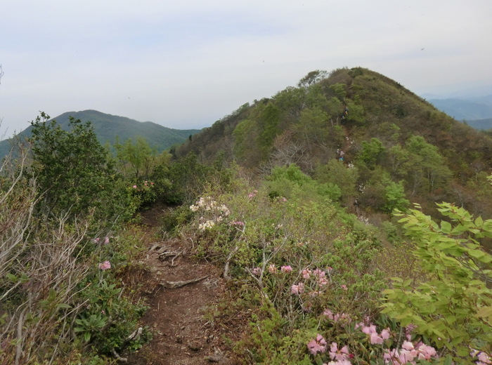 b0185573_18405220.jpg