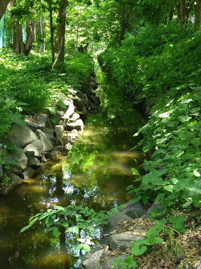d0084473_21202293.jpg