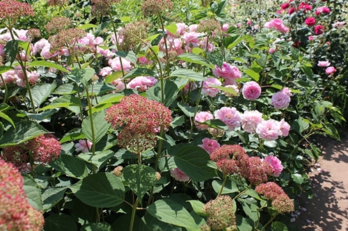 c0222474_3103667.jpg