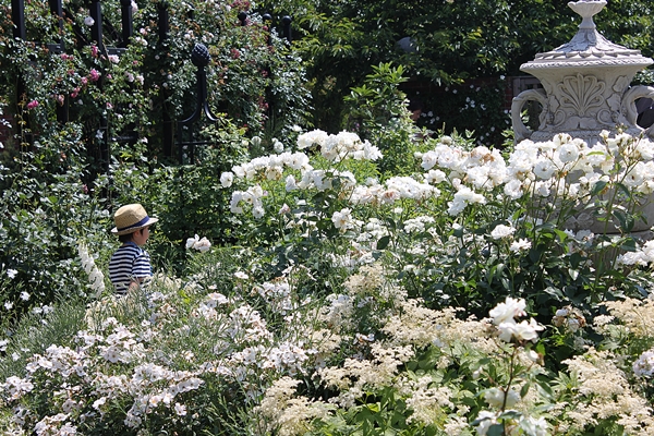 c0222474_31461.jpg