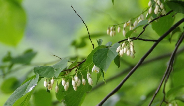 c0144185_2342163.jpg