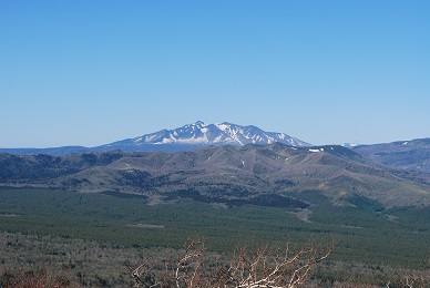 a0133886_16392051.jpg