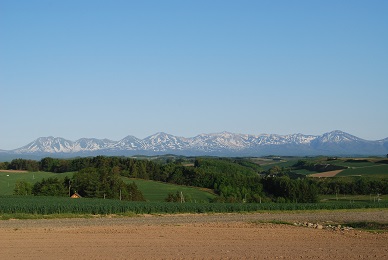 a0133886_16404590.jpg