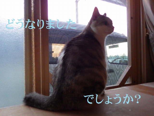 a0159490_16441450.jpg