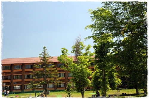 b0151893_8533269.jpg