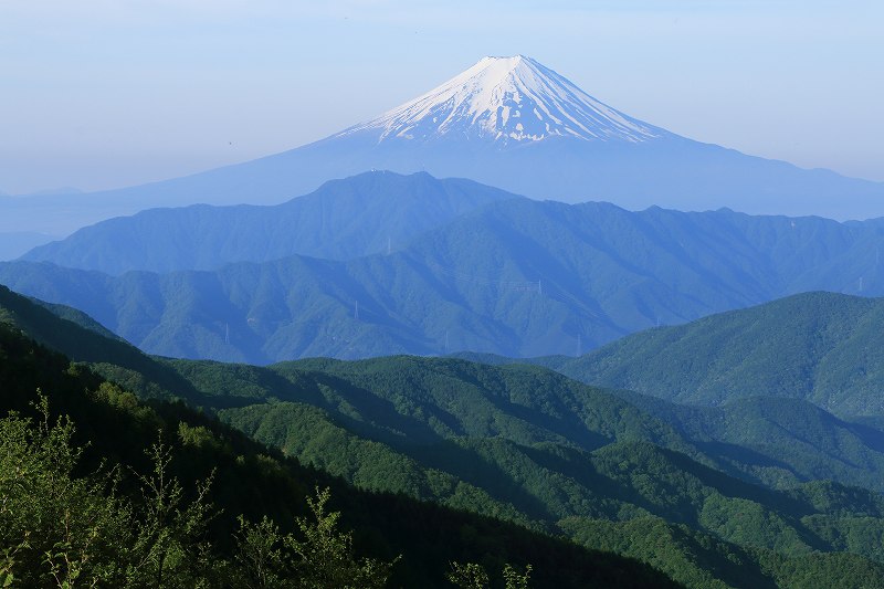 a0188405_720421.jpg