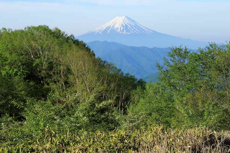 a0188405_723917.jpg
