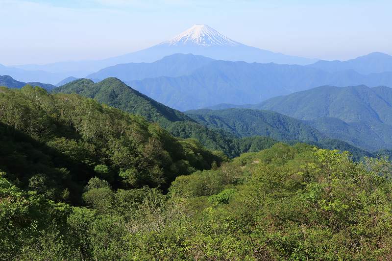 a0188405_7242888.jpg