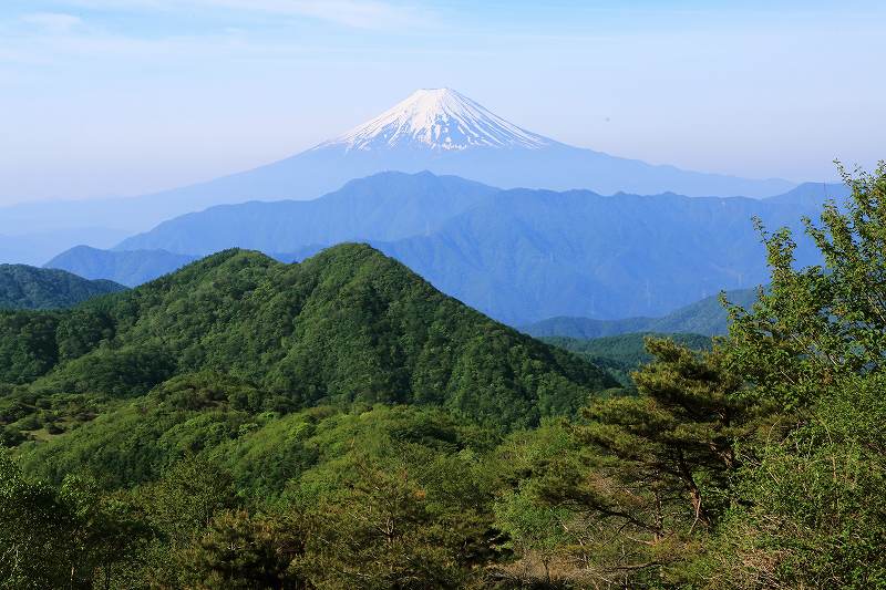 a0188405_7244852.jpg