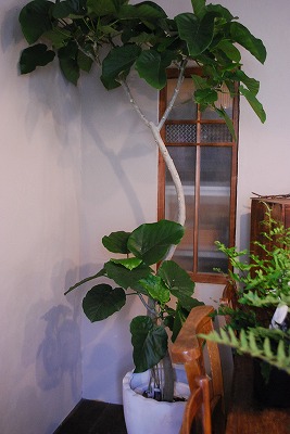 e0128909_615441.jpg