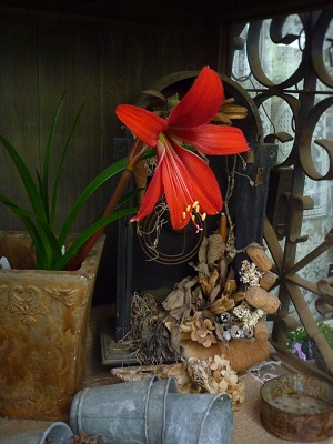 c0167112_2175571.jpg