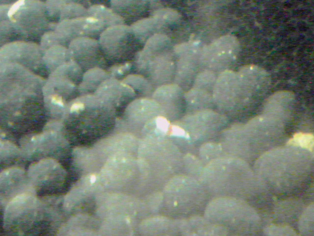 a0291521_8365718.jpg