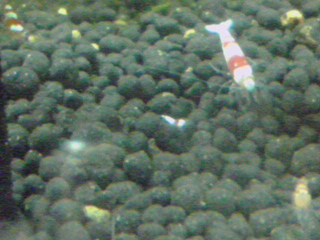 a0291521_8365756.jpg