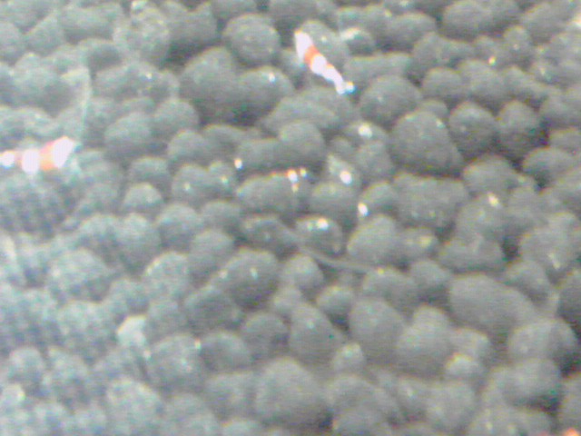 a0291521_8365762.jpg