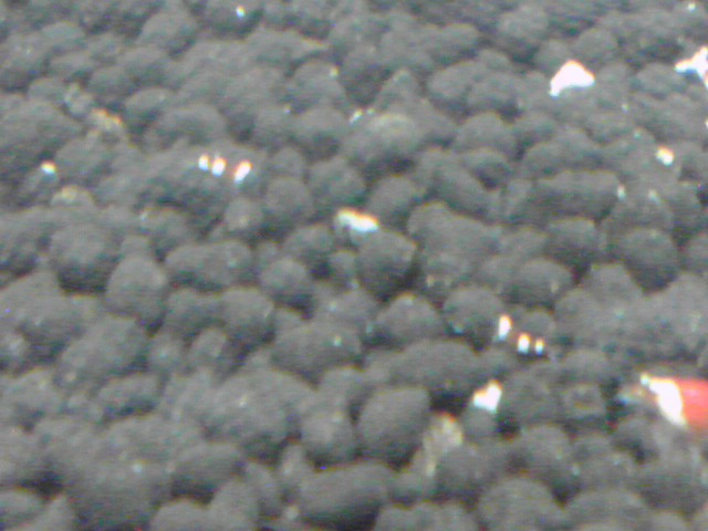 a0291521_8365778.jpg