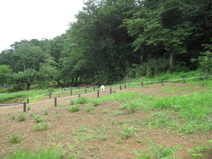 e0244621_2157244.jpg