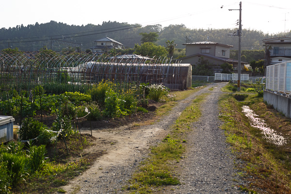 c0162926_23515483.jpg
