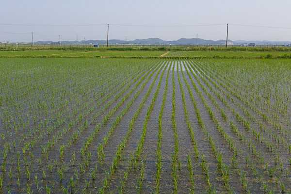 c0162926_23521322.jpg