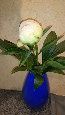 e0322827_22403265.jpg