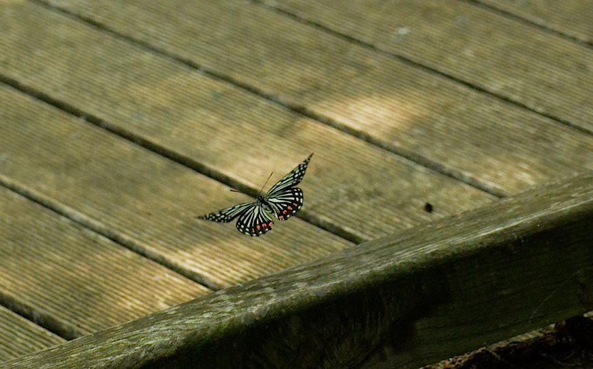 d0303129_14205662.jpg