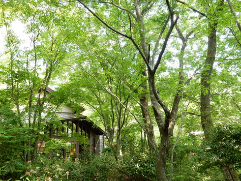 e0202231_07214.jpg