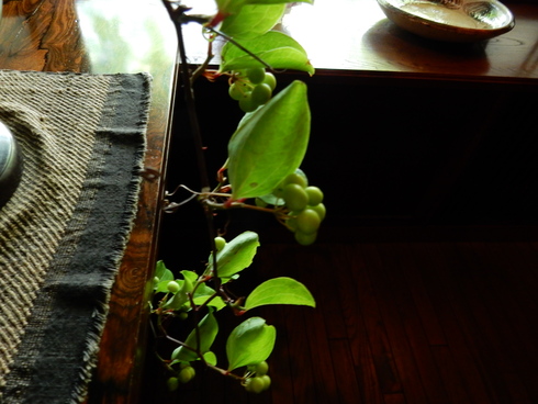 e0202231_081015.jpg