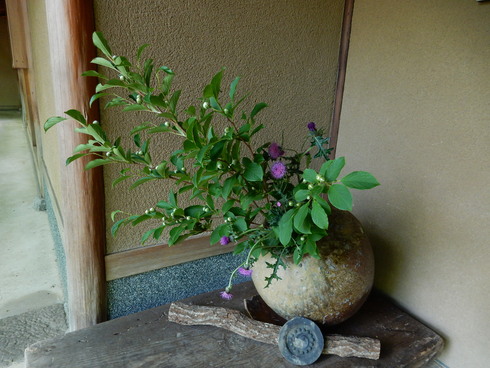 e0202231_083186.jpg