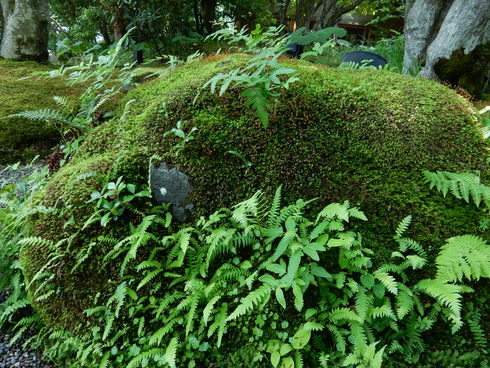e0202231_084956.jpg