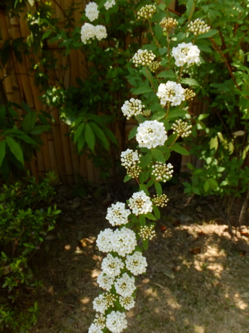b0281732_838440.jpg