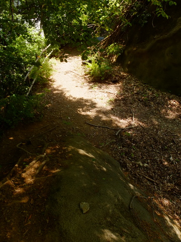 b0281732_839452.jpg