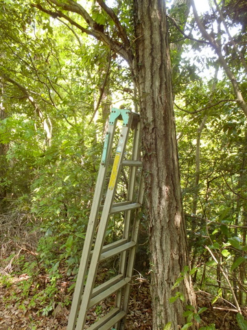 b0281732_8402010.jpg