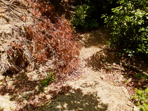 b0281732_8403991.jpg
