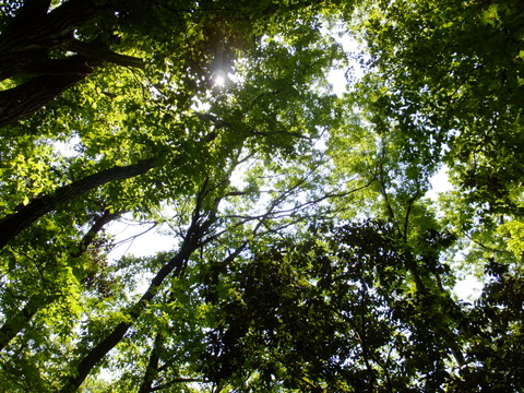 b0281732_8405457.jpg
