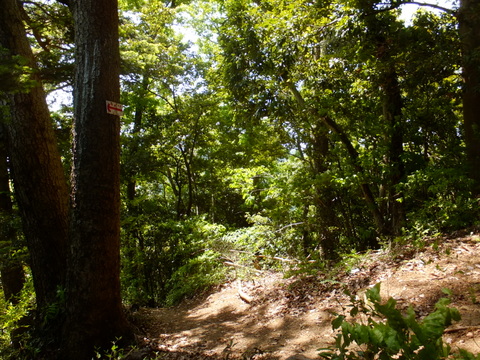 b0281732_8413574.jpg